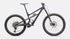 Specialized Status 170 2 - 2025