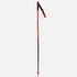 ROSSIGNOL HERO GS-SG Poles 2024