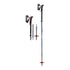 Leki SHERPA FX CARBON Ski Poles - 2026