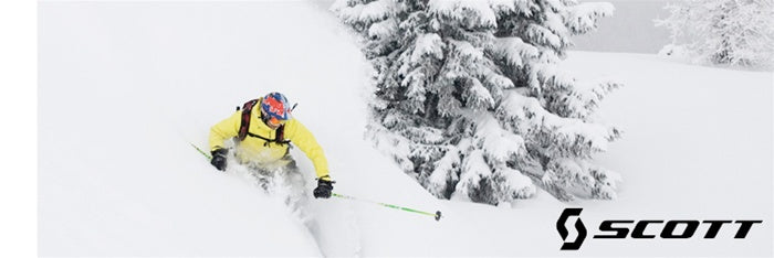 Scott Ski Poles