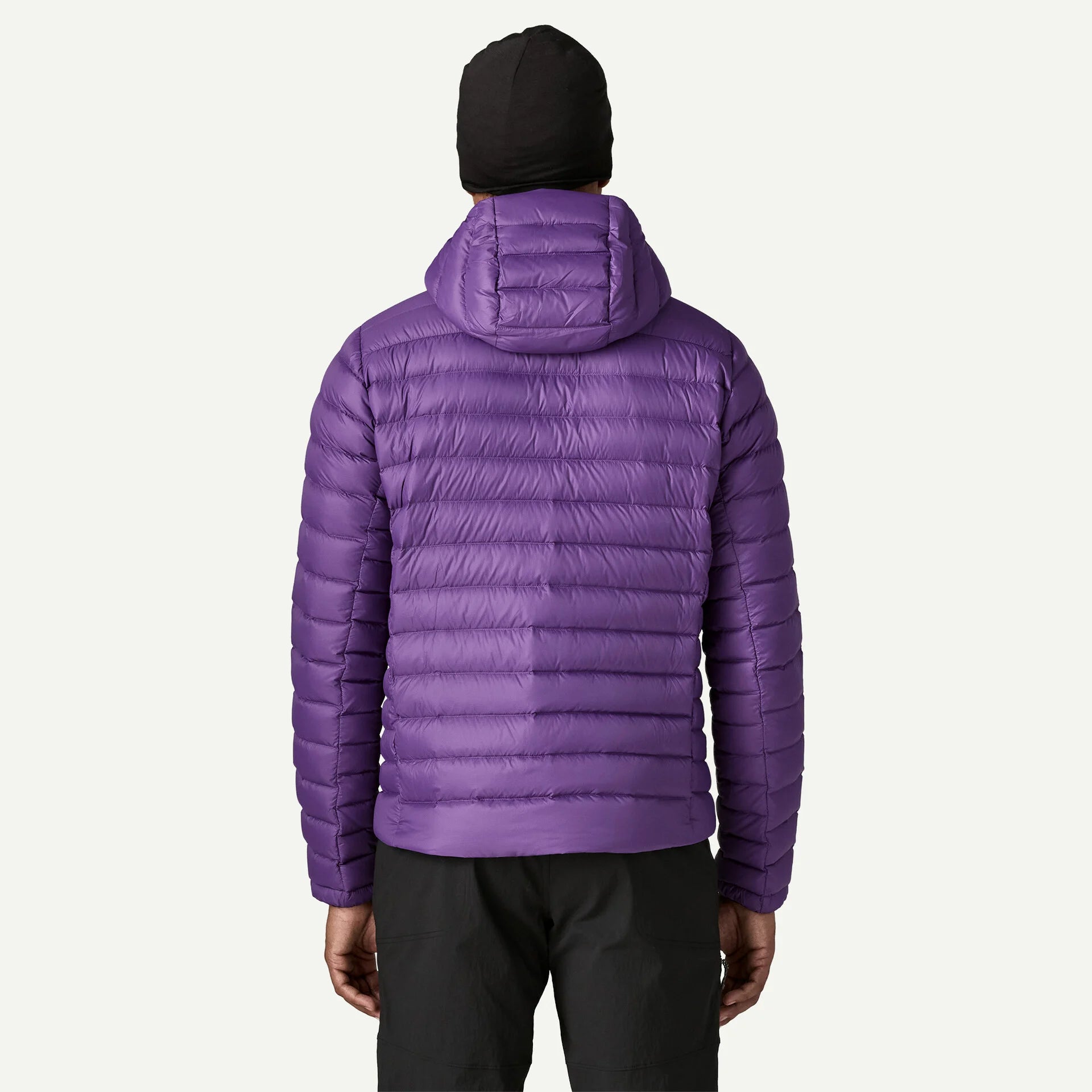 Patagonia M's Down Sweater Hoody