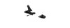 Look SPX 11 Bindings - 2026