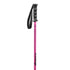 Nordica Junior - Pink Ski Poles 2027