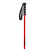 Nordica Junior Boy Ski Poles 2027