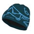 Arc'Teryx Bird Head Toque 2026