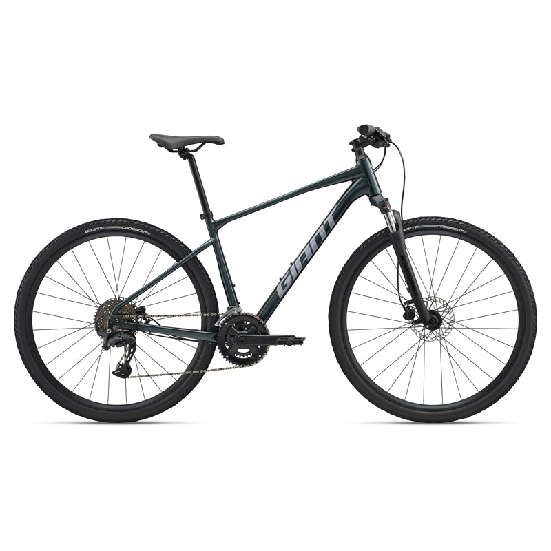 Giant Roam 2 - 2025
