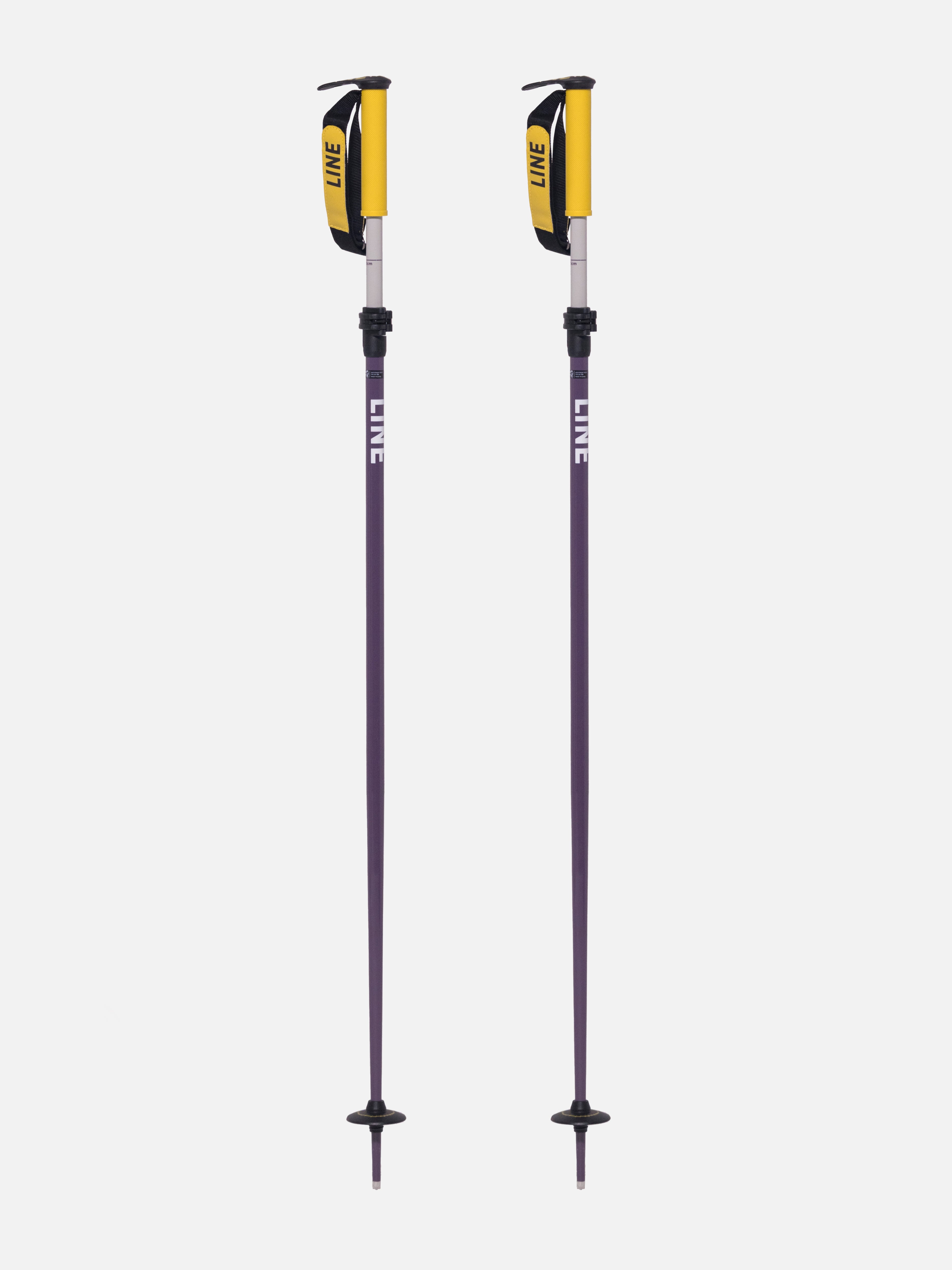 Line Paintbrush Poles - 2026