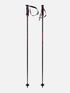 Volkl Phantastick Carbon Ski Poles - 2026