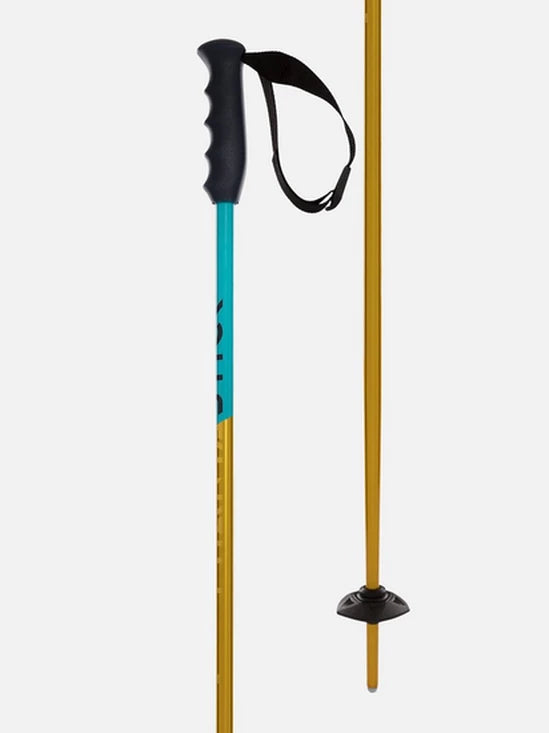 Volkl Phantastick Jr Ski Poles - 2026