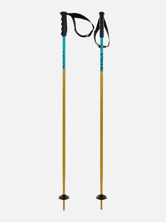 Volkl Phantastick Jr Ski Poles - 2026